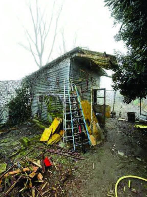 immagine annuncio 8 di 15