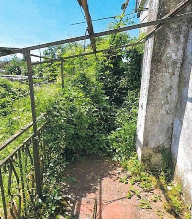 immagine annuncio 5 di 11