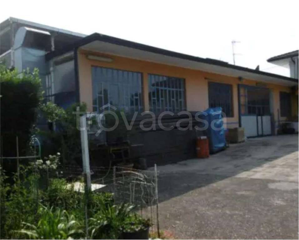 immagine annuncio 6 di 11