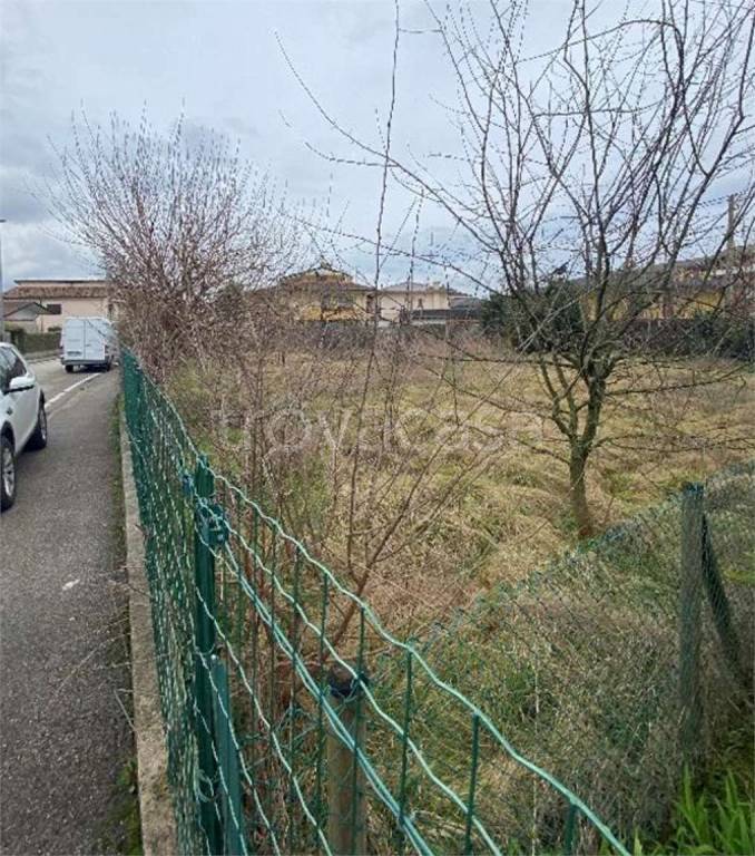 immagine annuncio 12 di 15