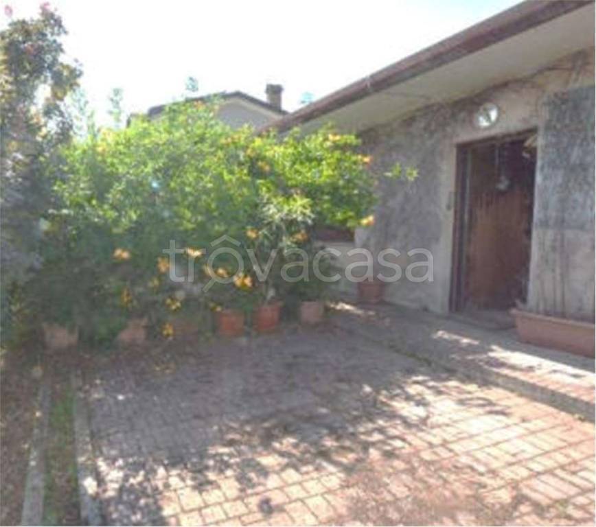 immagine annuncio 7 di 12