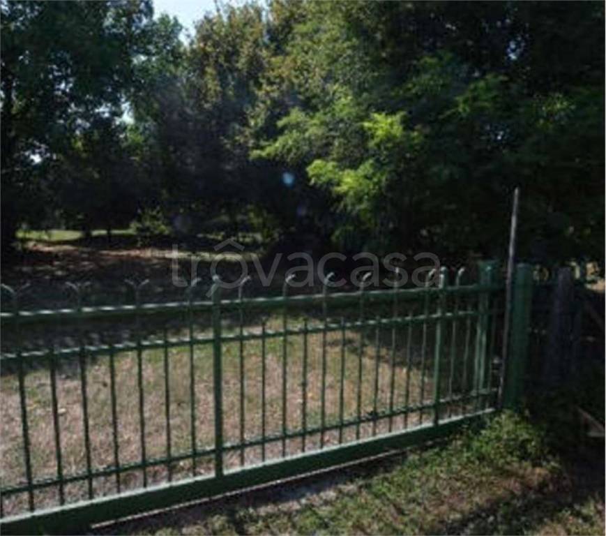 immagine annuncio 10 di 12