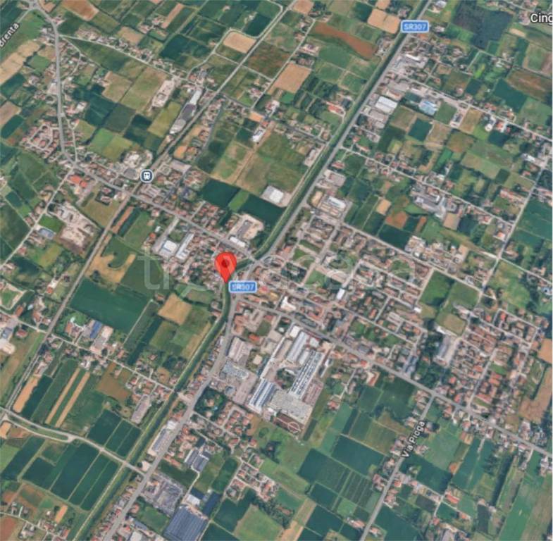 immagine annuncio 2 di 12