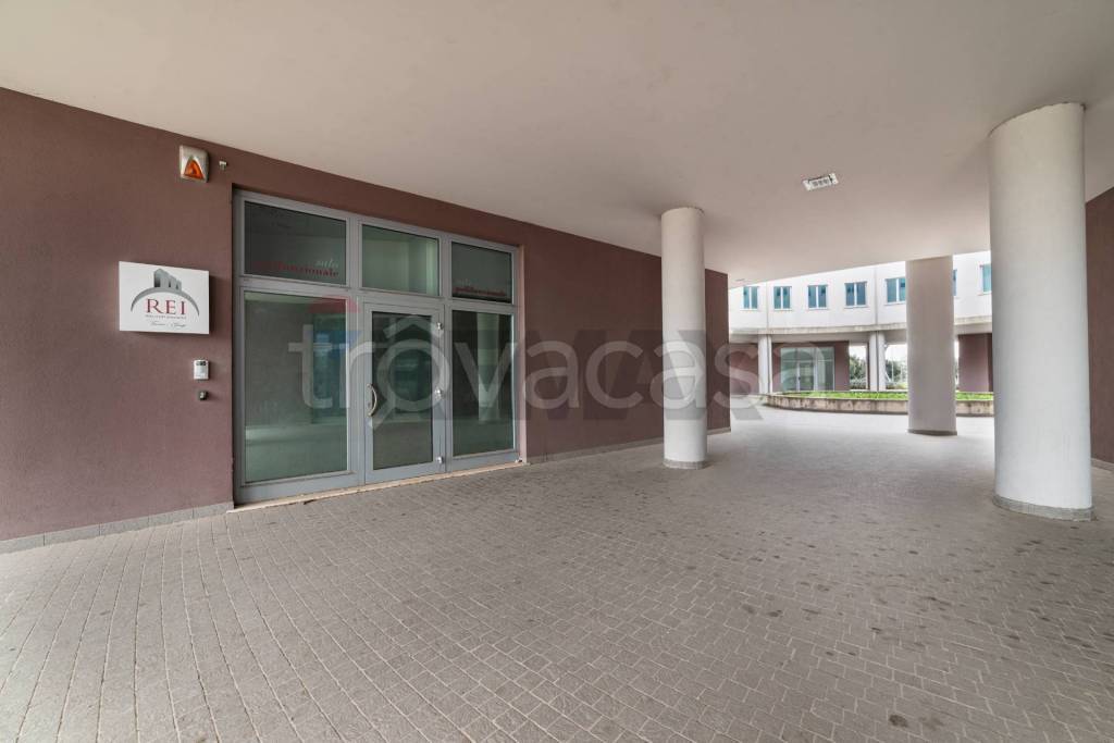 immagine annuncio 7 di 9