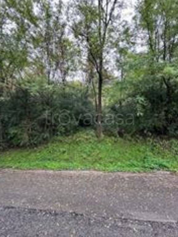 immagine annuncio 6 di 11