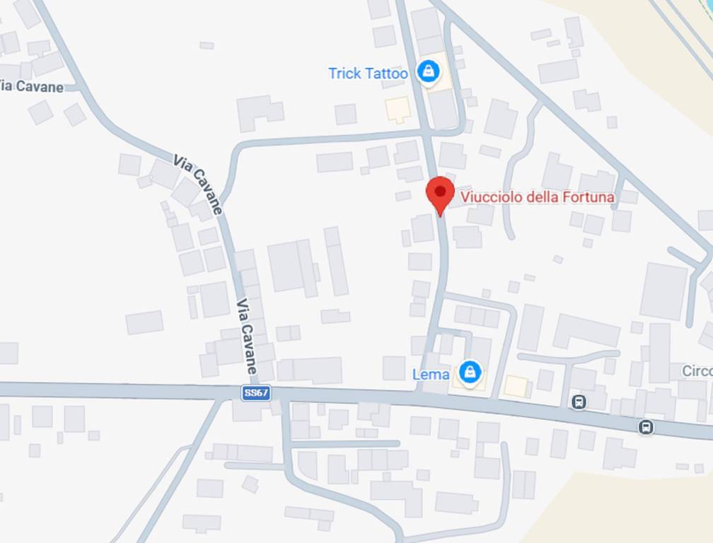 immagine annuncio 6 di 10