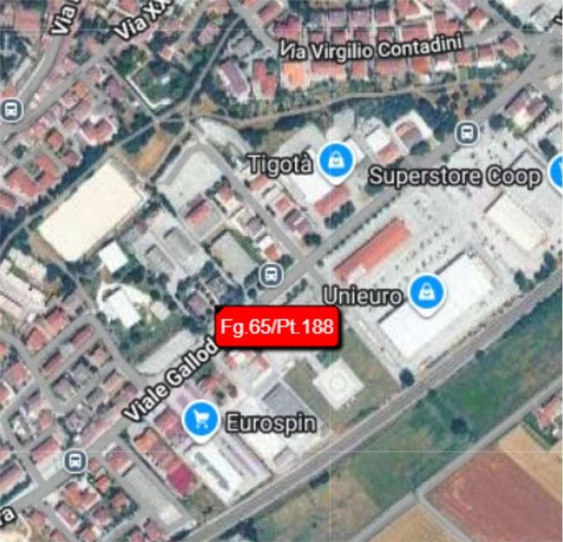 immagine annuncio 6 di 15