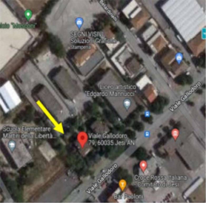 immagine annuncio 13 di 15