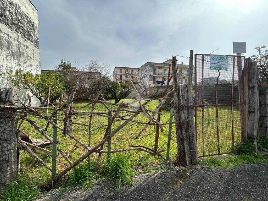 immagine annuncio 2 di 6