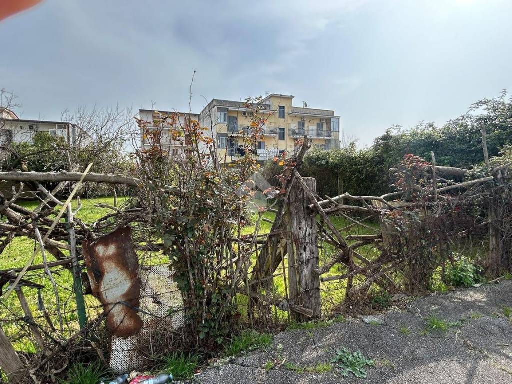immagine annuncio 5 di 6