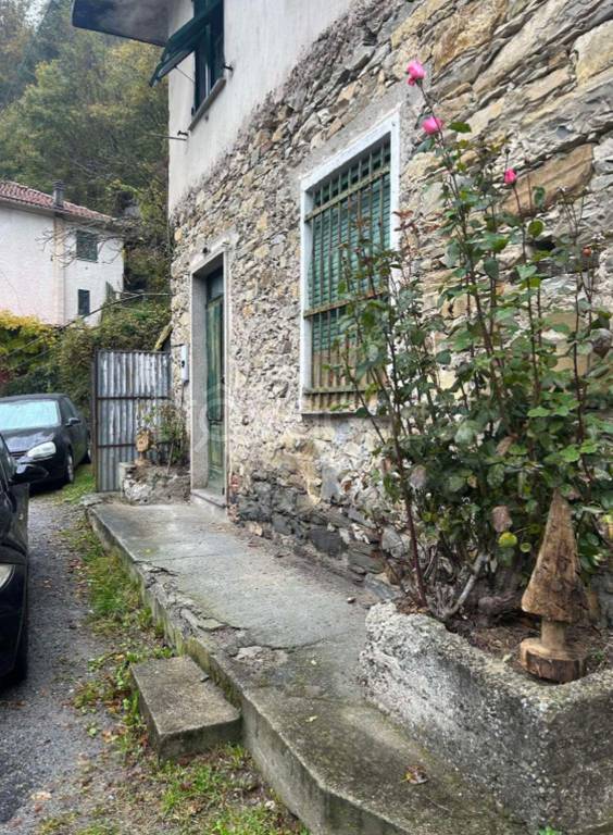 immagine annuncio 4 di 14