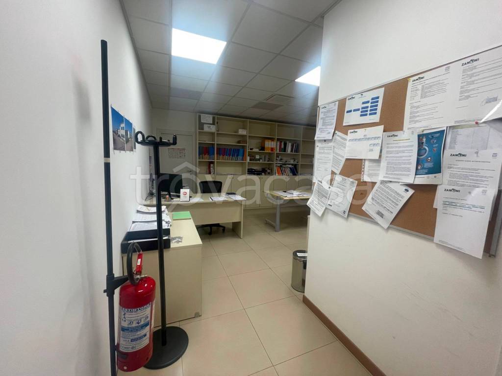 immagine annuncio 3 di 7