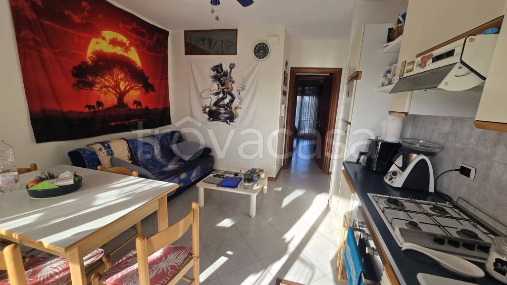 immagine annuncio 3 di 12