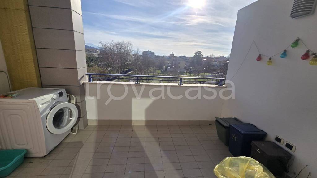 immagine annuncio 2 di 12