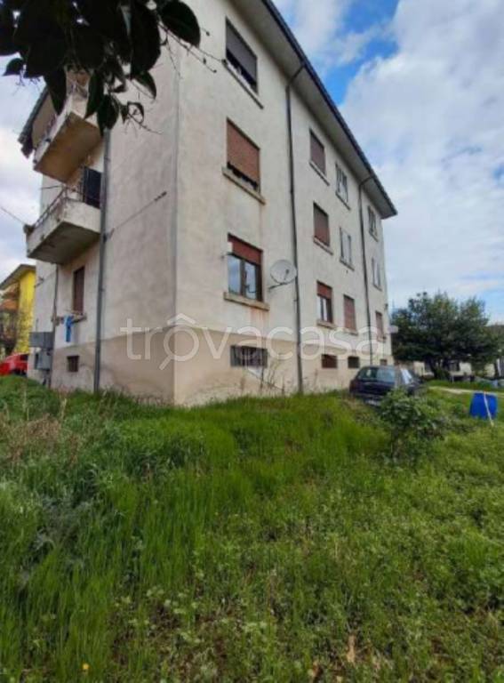 immagine annuncio 4 di 11