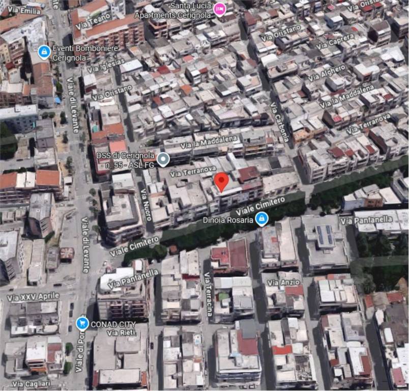 immagine annuncio 5 di 11