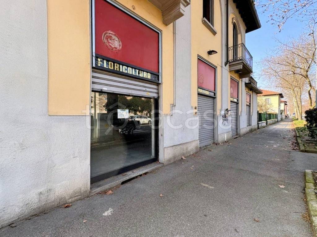 immagine annuncio 9 di 12