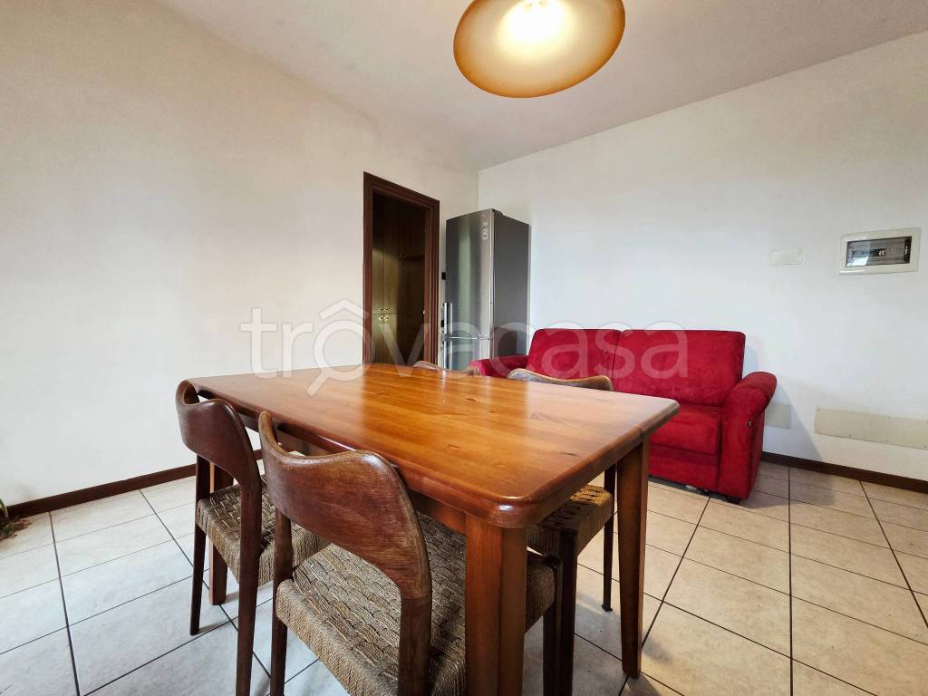 immagine annuncio 9 di 14