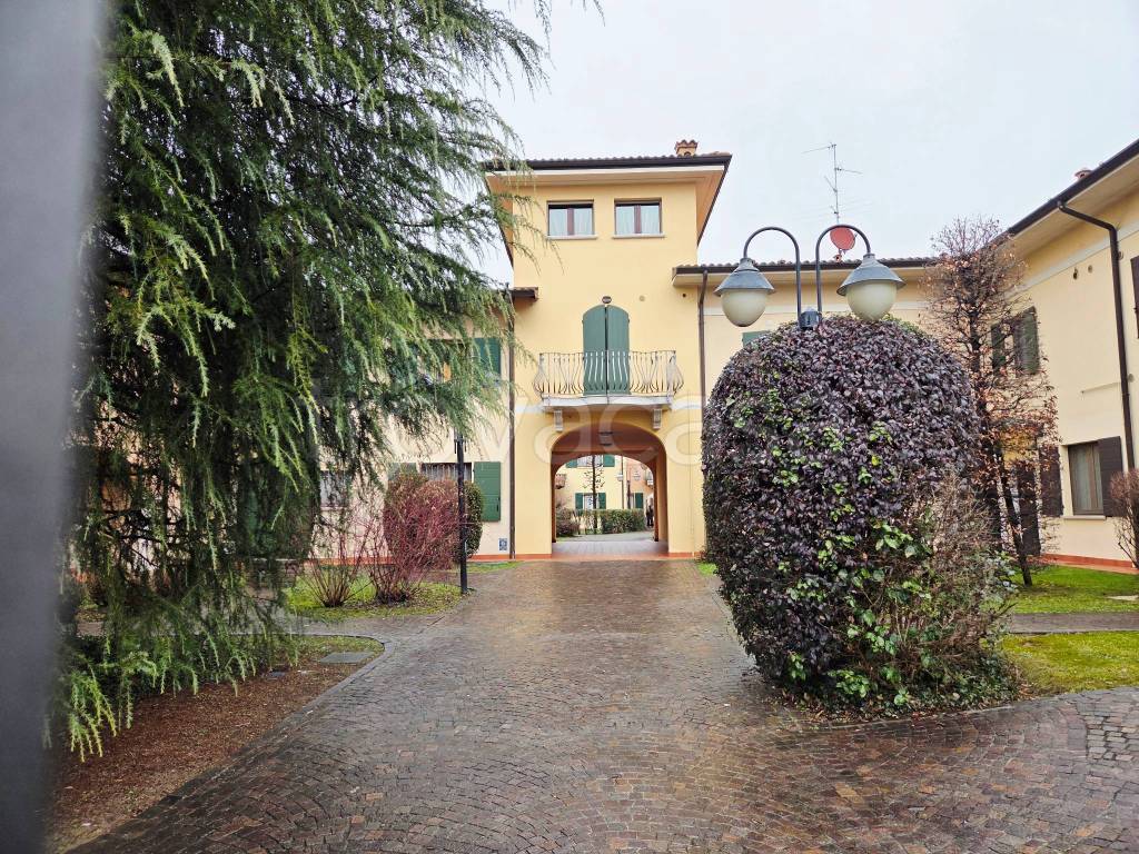 immagine annuncio 11 di 14