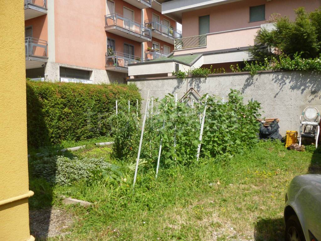 immagine annuncio 10 di 12