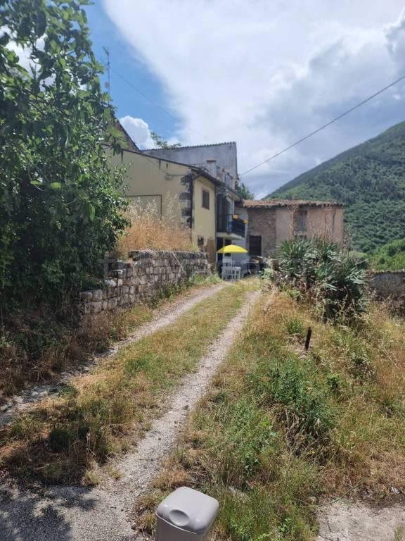 immagine annuncio 12 di 14