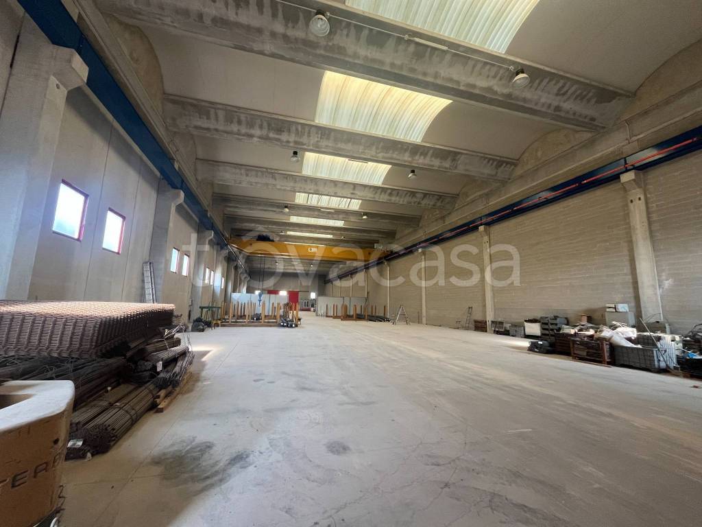 immagine annuncio 9 di 13