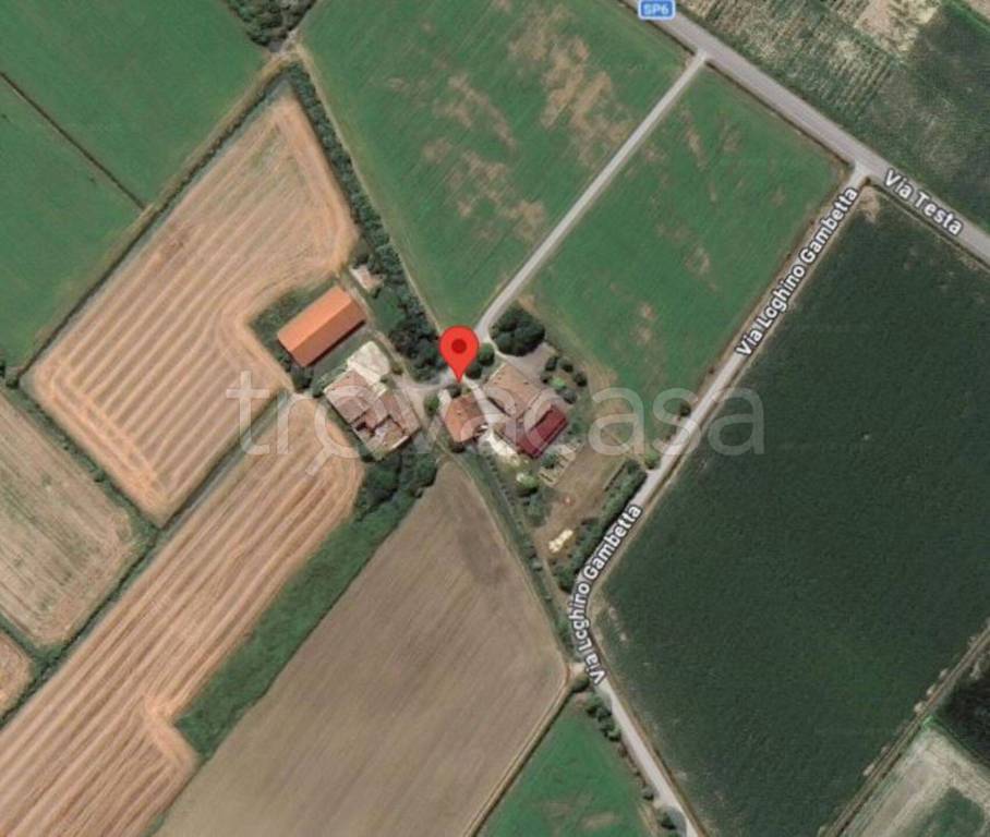 immagine annuncio 10 di 12