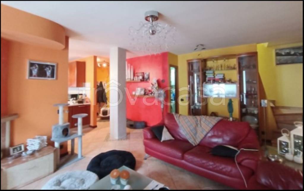 immagine annuncio 3 di 12