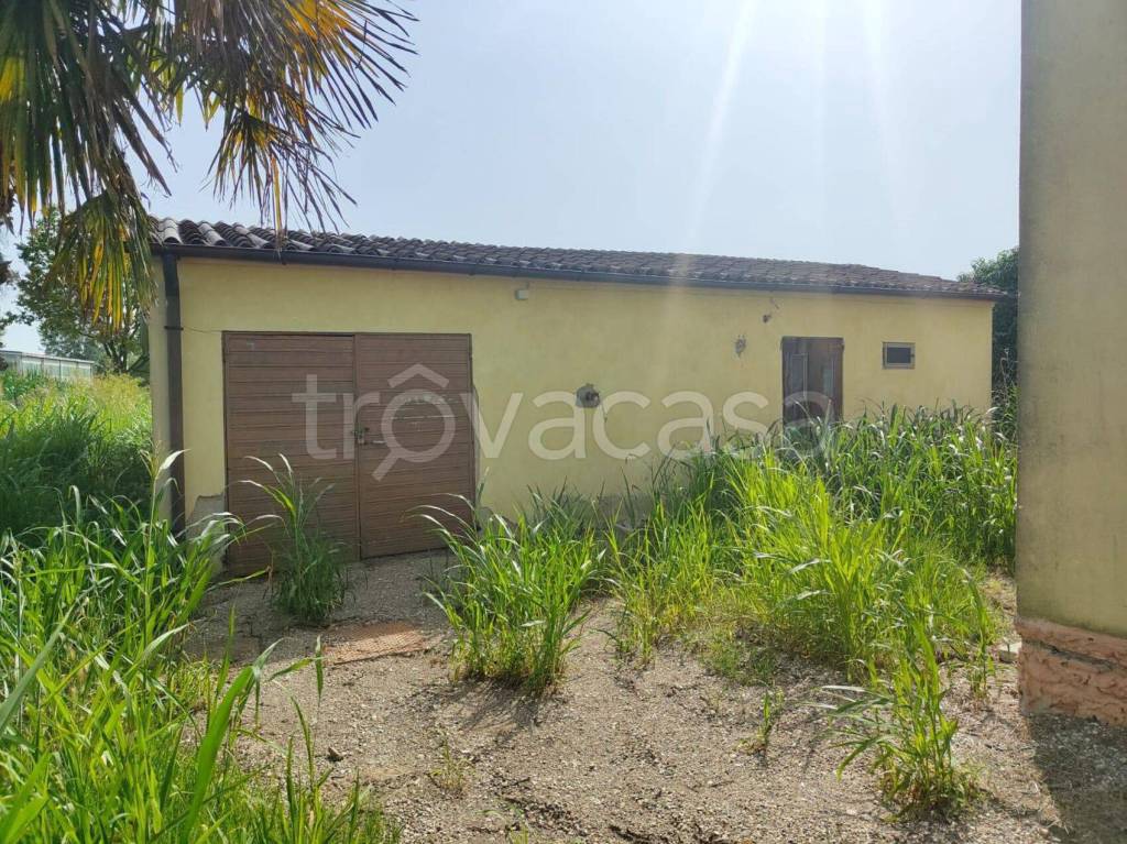 immagine annuncio 6 di 12