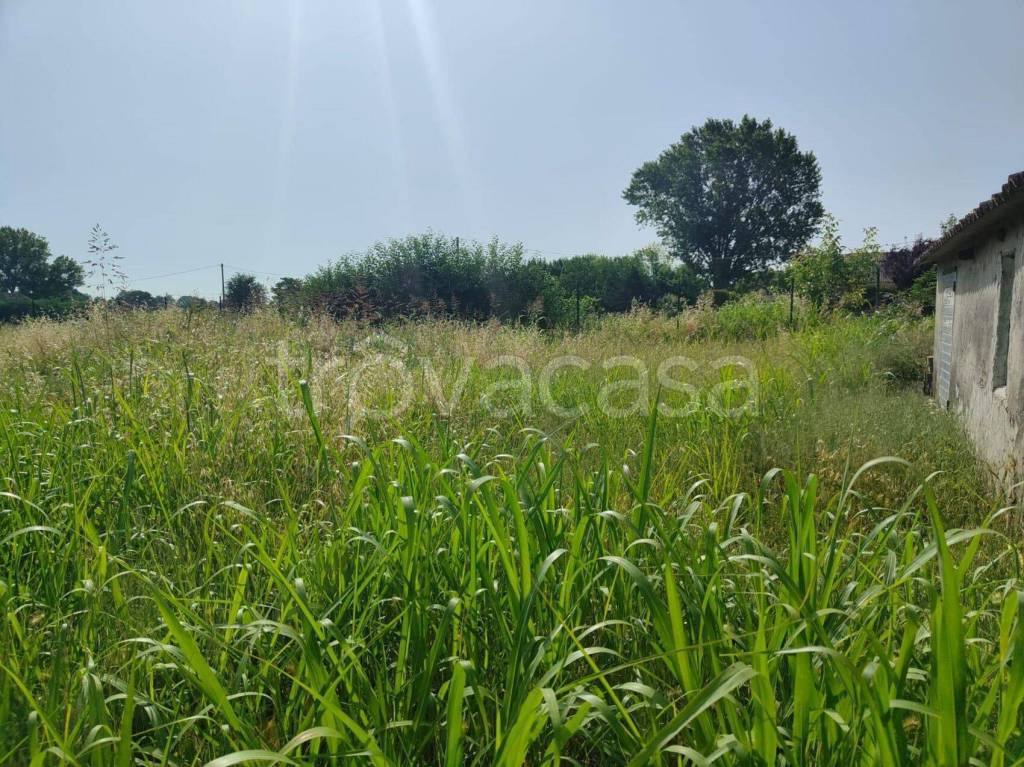 immagine annuncio 8 di 12