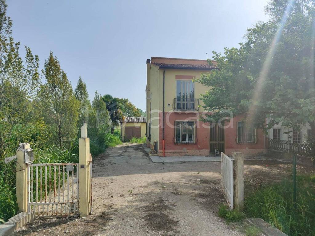 immagine annuncio 10 di 12