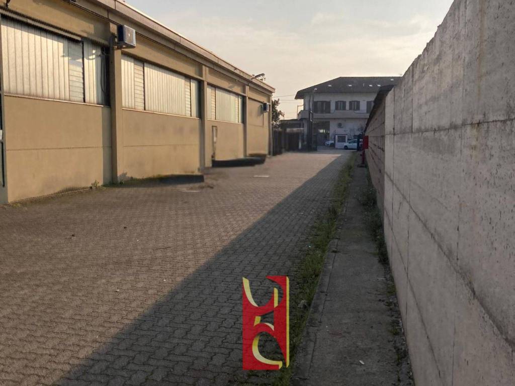 immagine annuncio 7 di 11