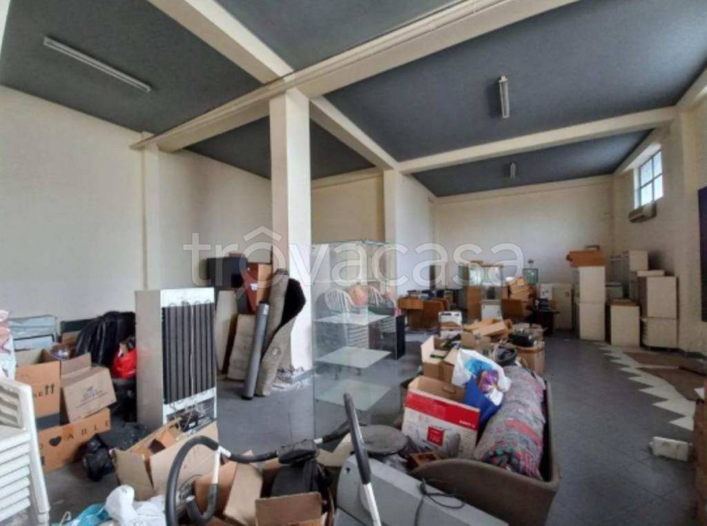 immagine annuncio 10 di 11