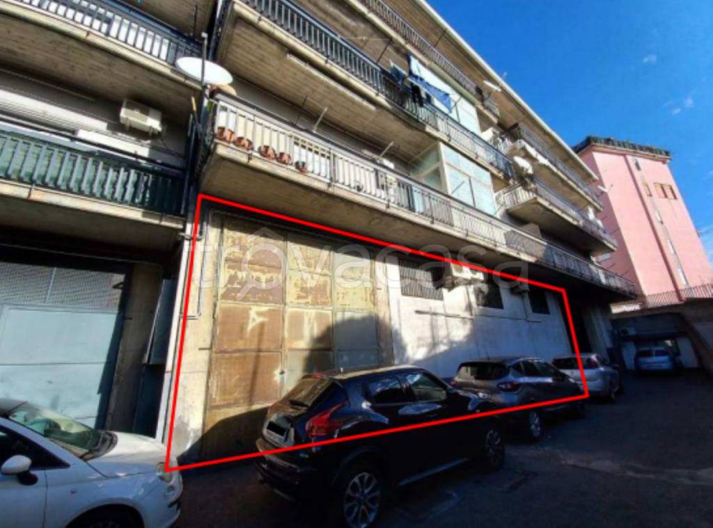 immagine annuncio 1 di 11