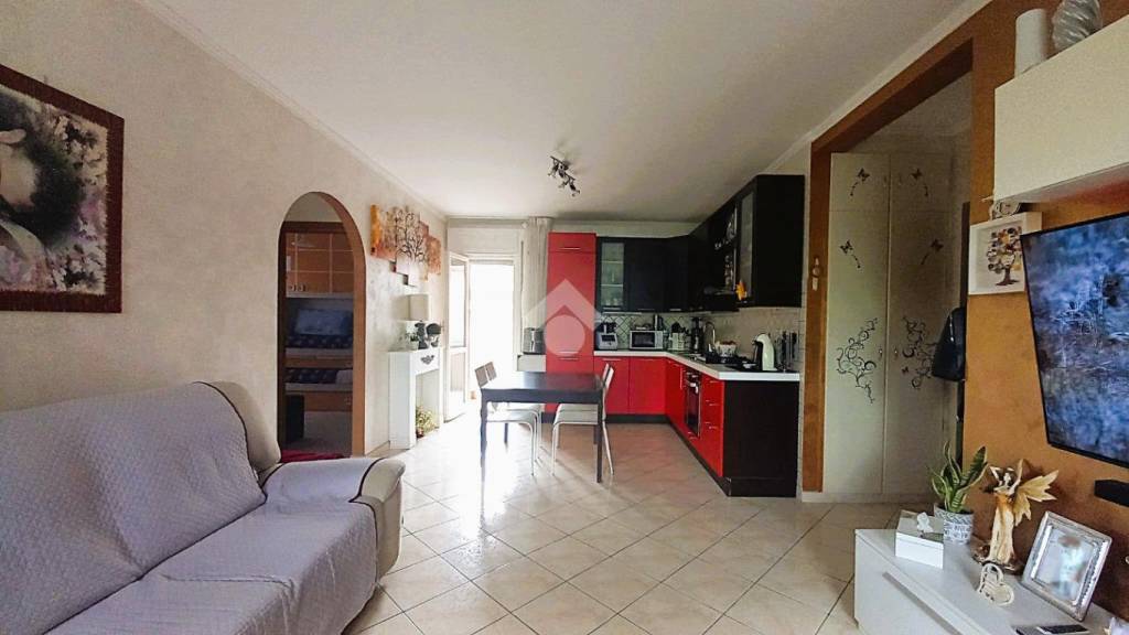 immagine annuncio 5 di 15