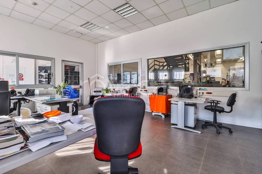 immagine annuncio 13 di 15