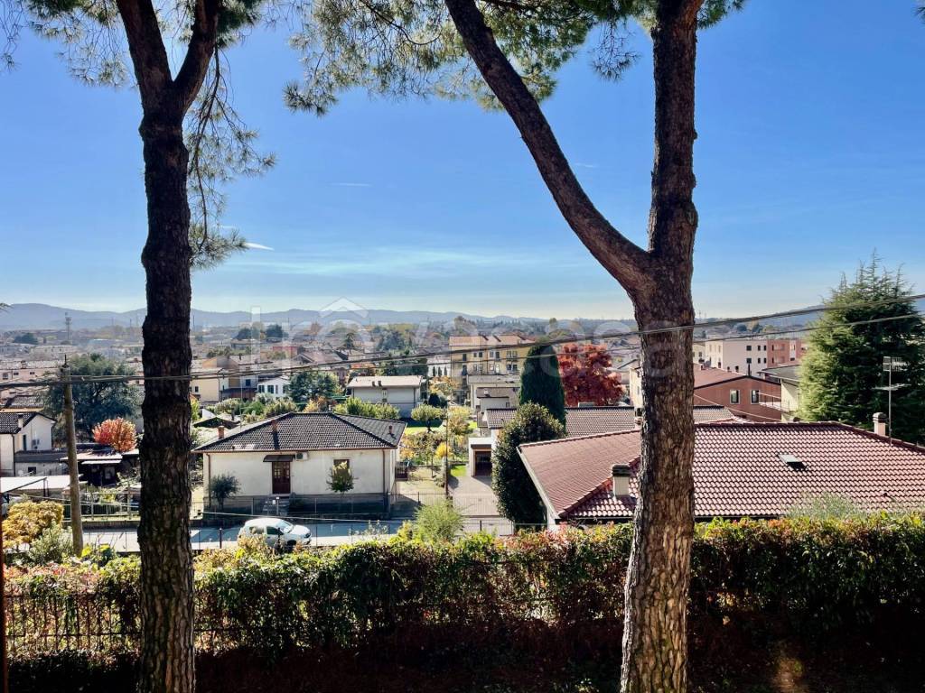 immagine annuncio 3 di 9