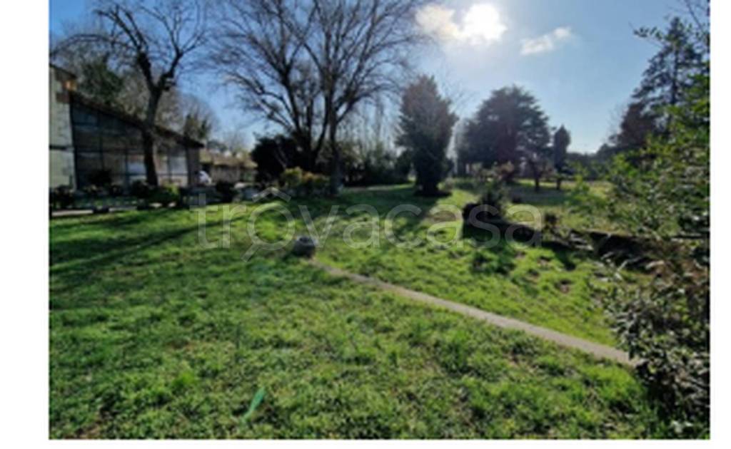 immagine annuncio 6 di 11