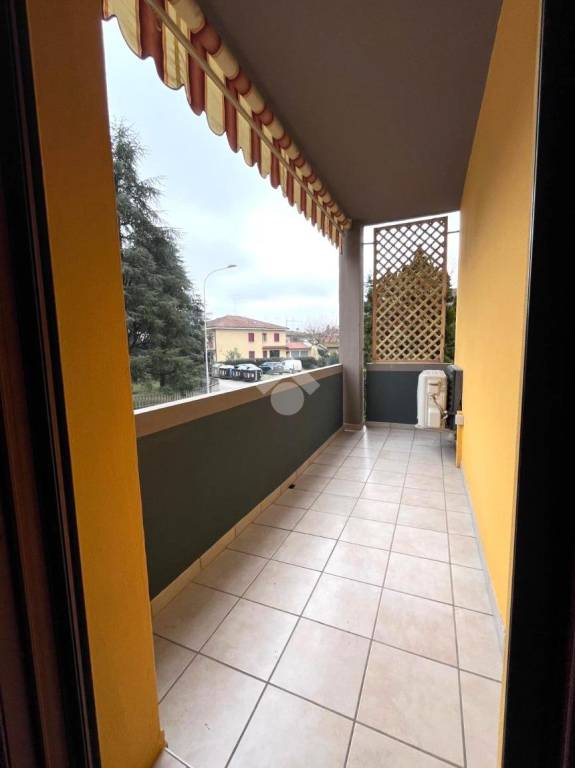 immagine annuncio 6 di 14