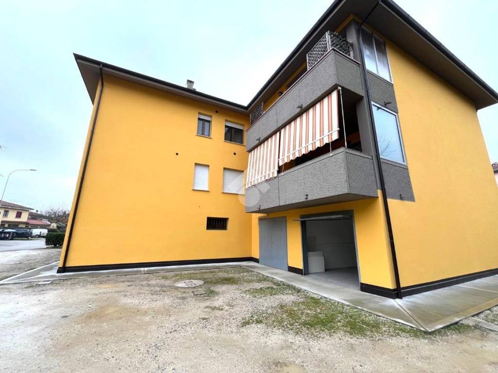 immagine annuncio 12 di 14