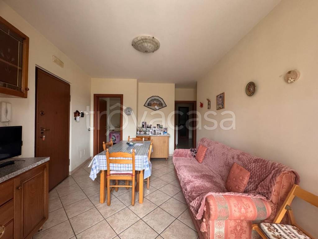 immagine annuncio 1 di 14