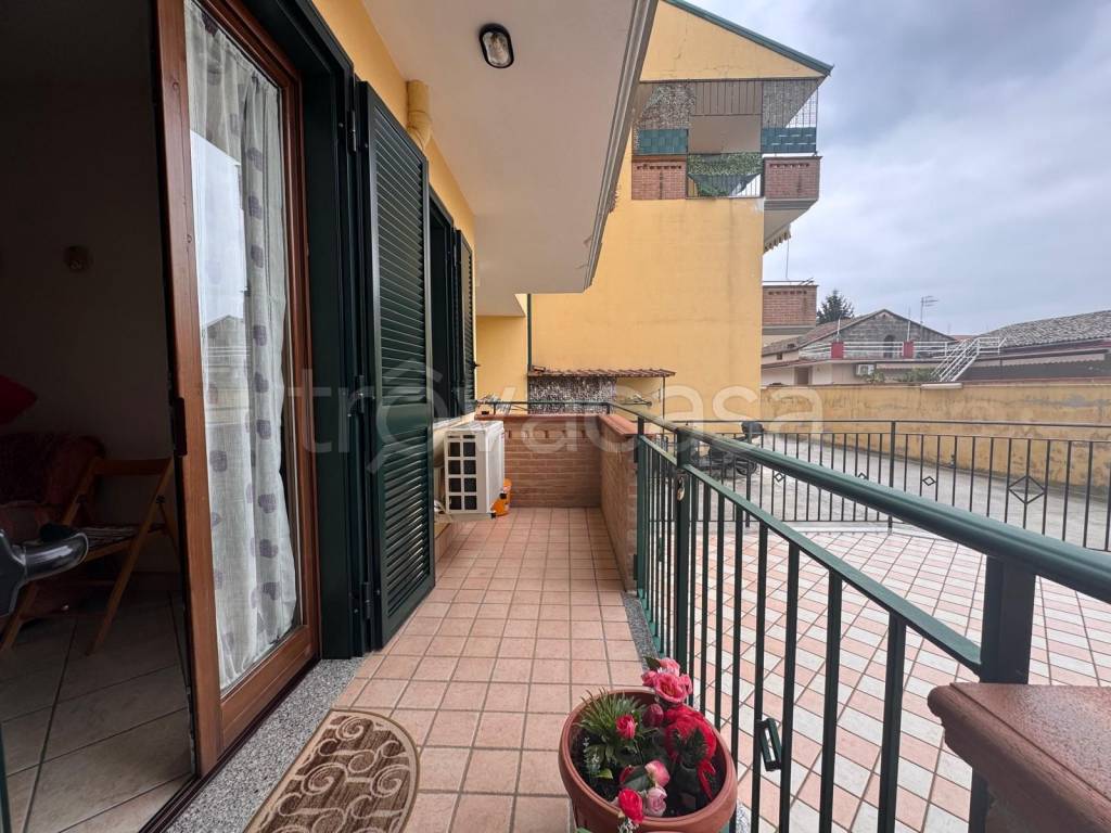 immagine annuncio 11 di 14