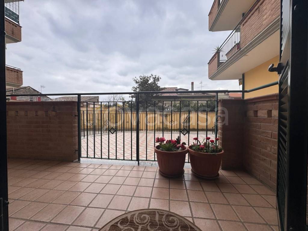 immagine annuncio 12 di 14