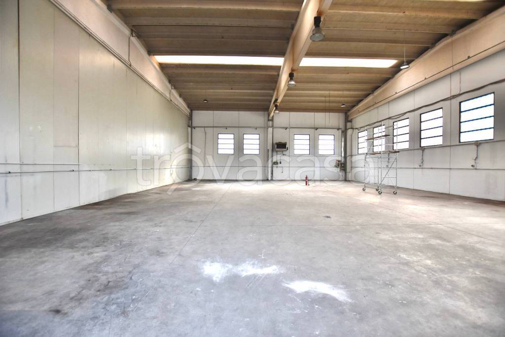 immagine annuncio 2 di 13