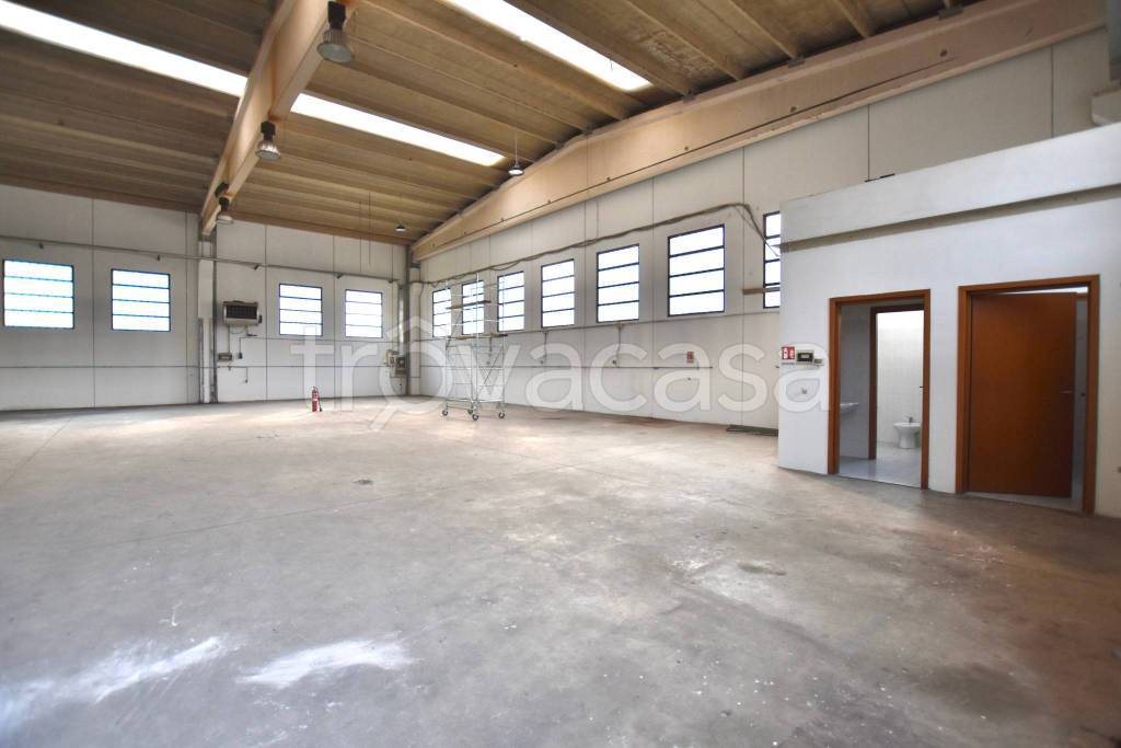 immagine annuncio 5 di 13