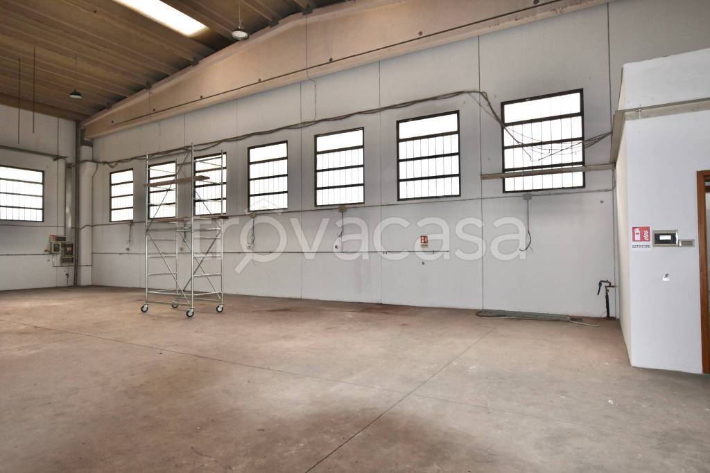 immagine annuncio 9 di 13