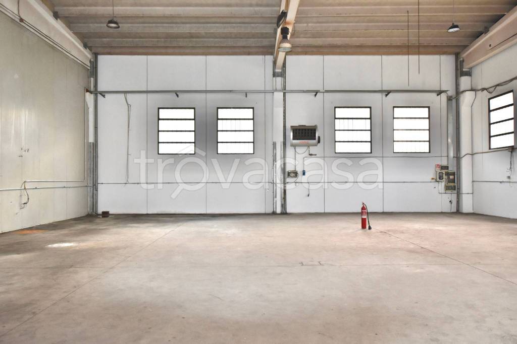 immagine annuncio 10 di 13