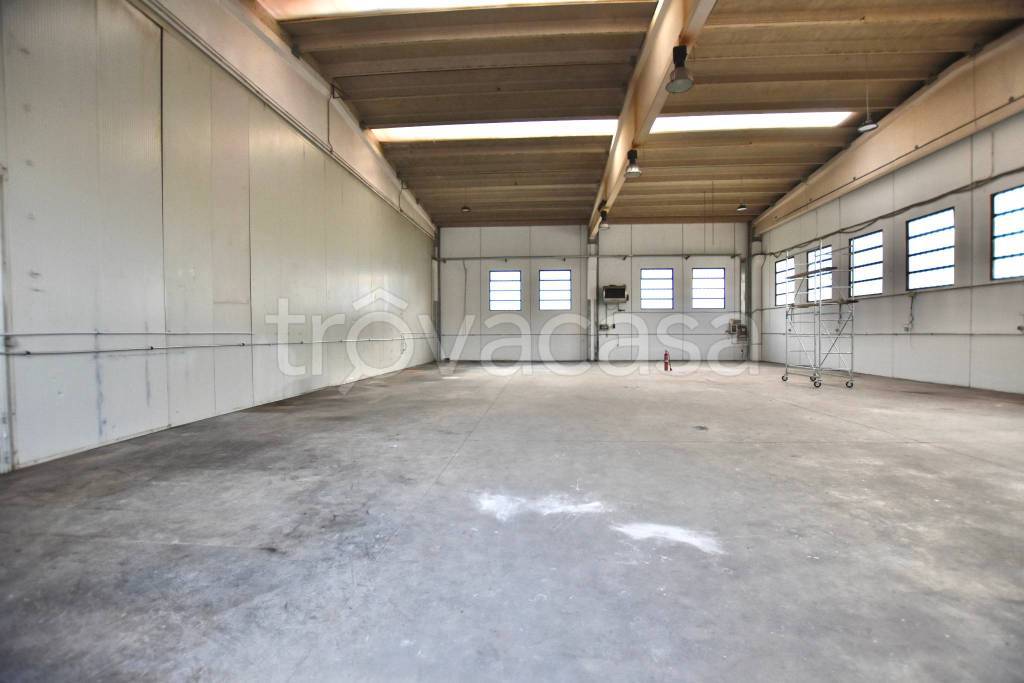 immagine annuncio 12 di 13