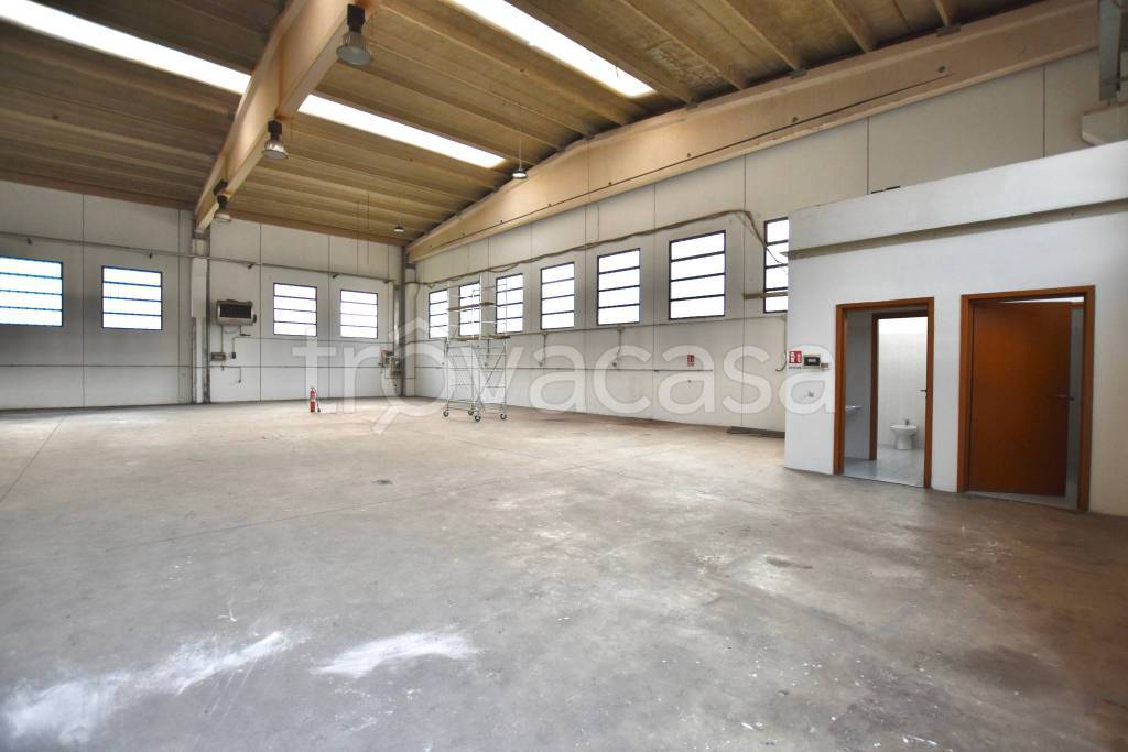 immagine annuncio 6 di 13