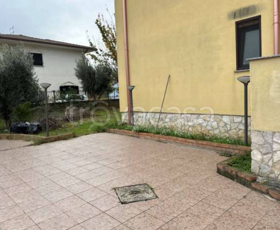 immagine annuncio 7 di 11